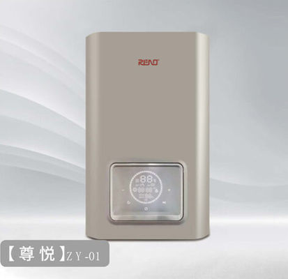 Calentador de agua caliente de gas de 24 kW control inteligente acero inoxidable de cáscara blanca