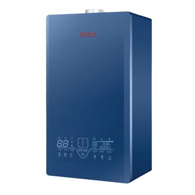 Calderas de gas de 20 kW montadas en pared con 21 tipos de protección y calefacción ecológica